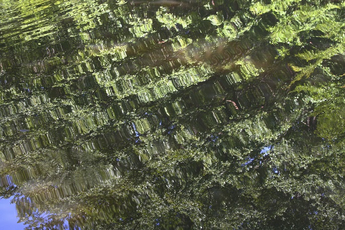 Le Roannais forêt de Lespinasse. Reflets dans l'eau d'un étang, perturbés par une onde, JM Hétru, réalité et fiction