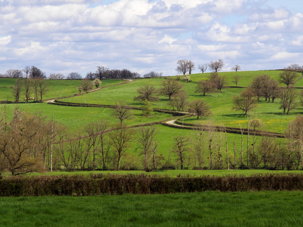 Paysage printanier en Bourgogne du sud, Hommage à Monet