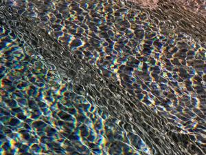 La Piscine, les marches 5