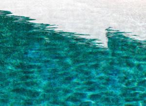 La piscine, le mur 6