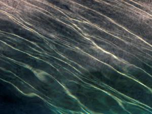 La piscine, reflets 8