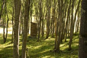 le petit coin dans les bois