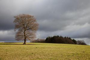 04011_MG_21920as