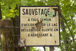 Saveur de l'information