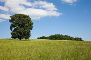 04011_MG_5676as