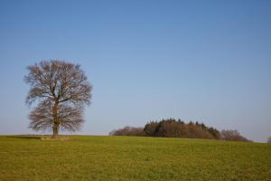 Campagne de Chenay-le-Châtel
