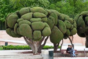 L'amoureuse du Retiro, Madrid
