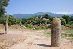 site archéologique de Filitosa menhirs dressés autour de l'olivier