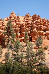 Red Canyon, Ouest américain, american West