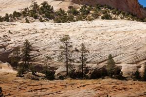 Zion National park, Ouest américain, american West