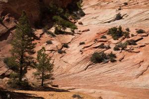 Zion National park, Ouest américain, american West