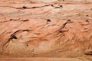 Zion National park, Ouest américain, american West