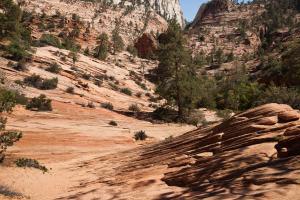 Zion National park, Ouest américain, american West