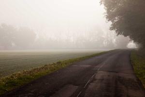 Brouillard le lond du canal Roanne-Digoin