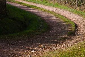 Chemin, path