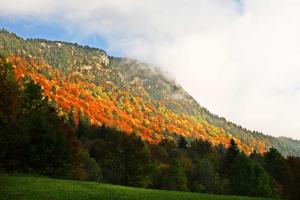 Couleurs d'automne au col des prés