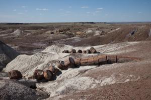 Forêt pétrifiée et désert peint/Petrifed Forest National Park and Painted Desert