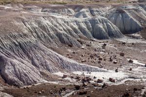 Forêt pétrifiée et désert peint/Petrifed Forest National Park and Painted Desert
