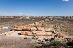 Forêt pétrifiée et désert peint/Petrifed Forest National Park and Painted Desert