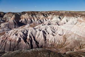Forêt pétrifiée et désert peint/Petrifed Forest National Park and Painted Desert