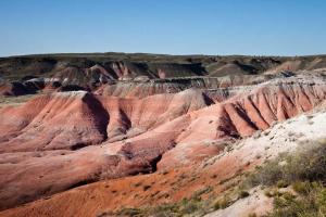 Forêt pétrifiée et désert peint/Petrifed Forest National Park and Painted Desert