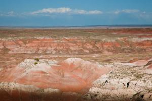 Forêt pétrifiée et désert peint/Petrifed Forest National Park and Painted Desert
