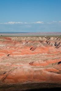 Forêt pétrifiée et désert peint/Petrifed Forest National Park and Painted Desert