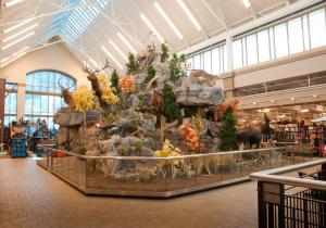 Magasin de sport aux USA/Sports store in the USA