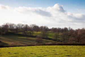 France, Bourgogne, Saône et Loire, Chenay-le-Châtel, paysage d'hiver
