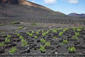 La géria, Lanzarote/ The geria, Lanzarote