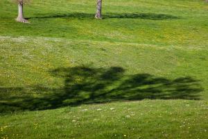 hetru_293.04011_MG_9140as
