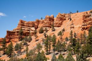 Red Canyon, Ouest américain, american West