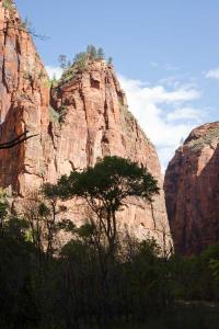 Zion National park, Ouest américain, american West