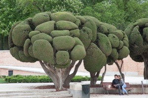 Parc du Retiro, Madrid/the Retiro park, Madrid
