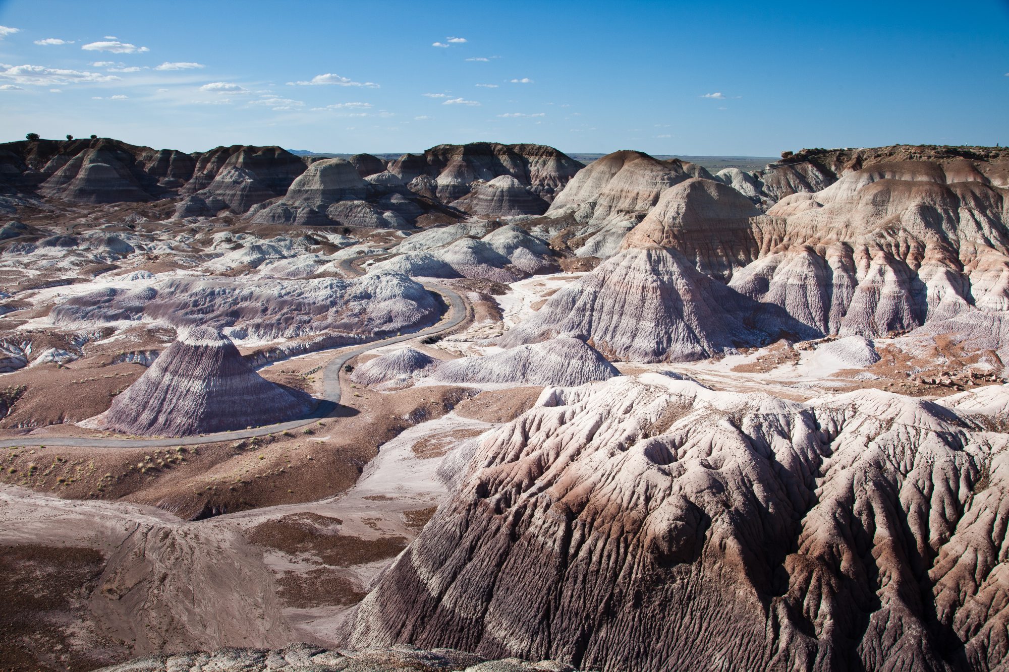 Arizona, petrified forest