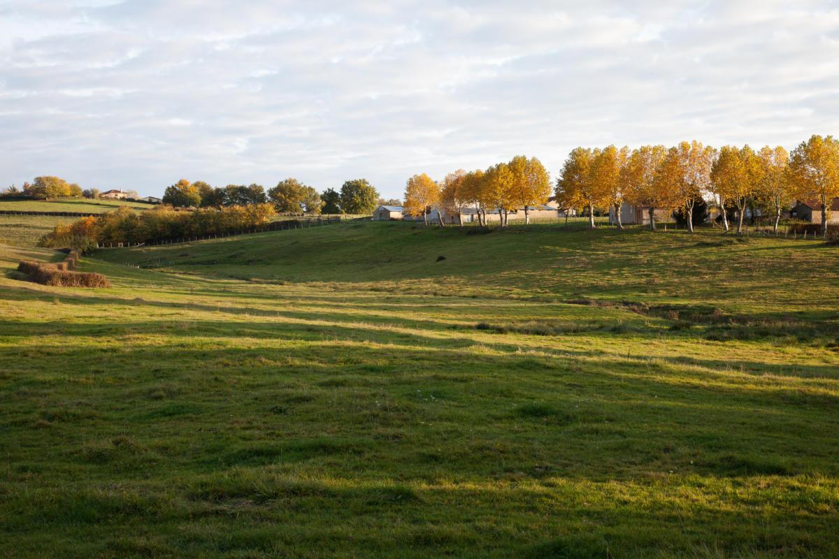 Du côté des Gonneaul/Gonneau side