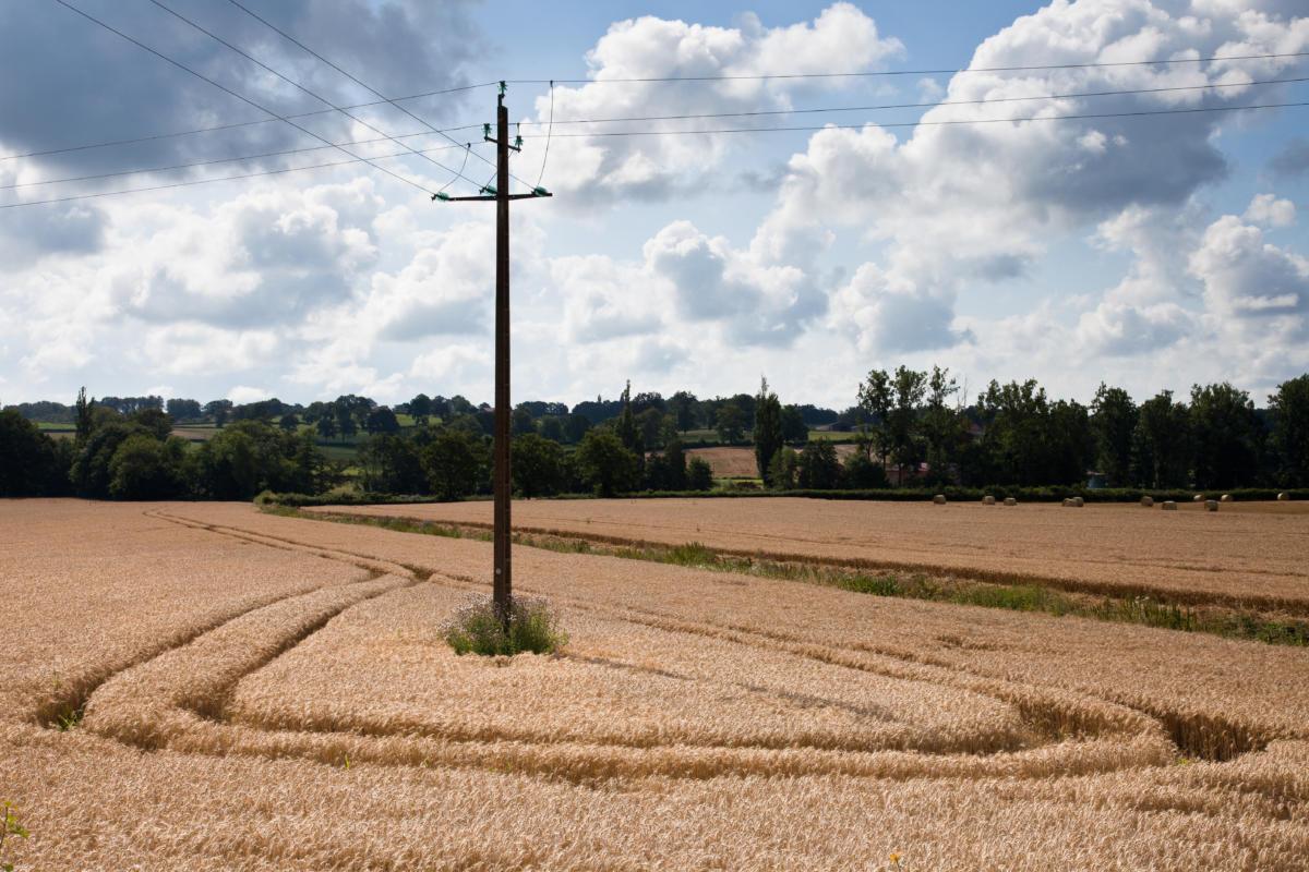 Culture du blé sous un ciel qui se charge/corn culture under sky that loads