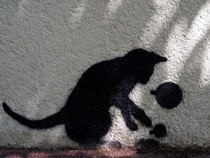 Le chat noir jongleur/The juggling black cat