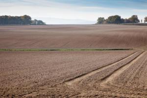 Labour d'automne/autumn plowing